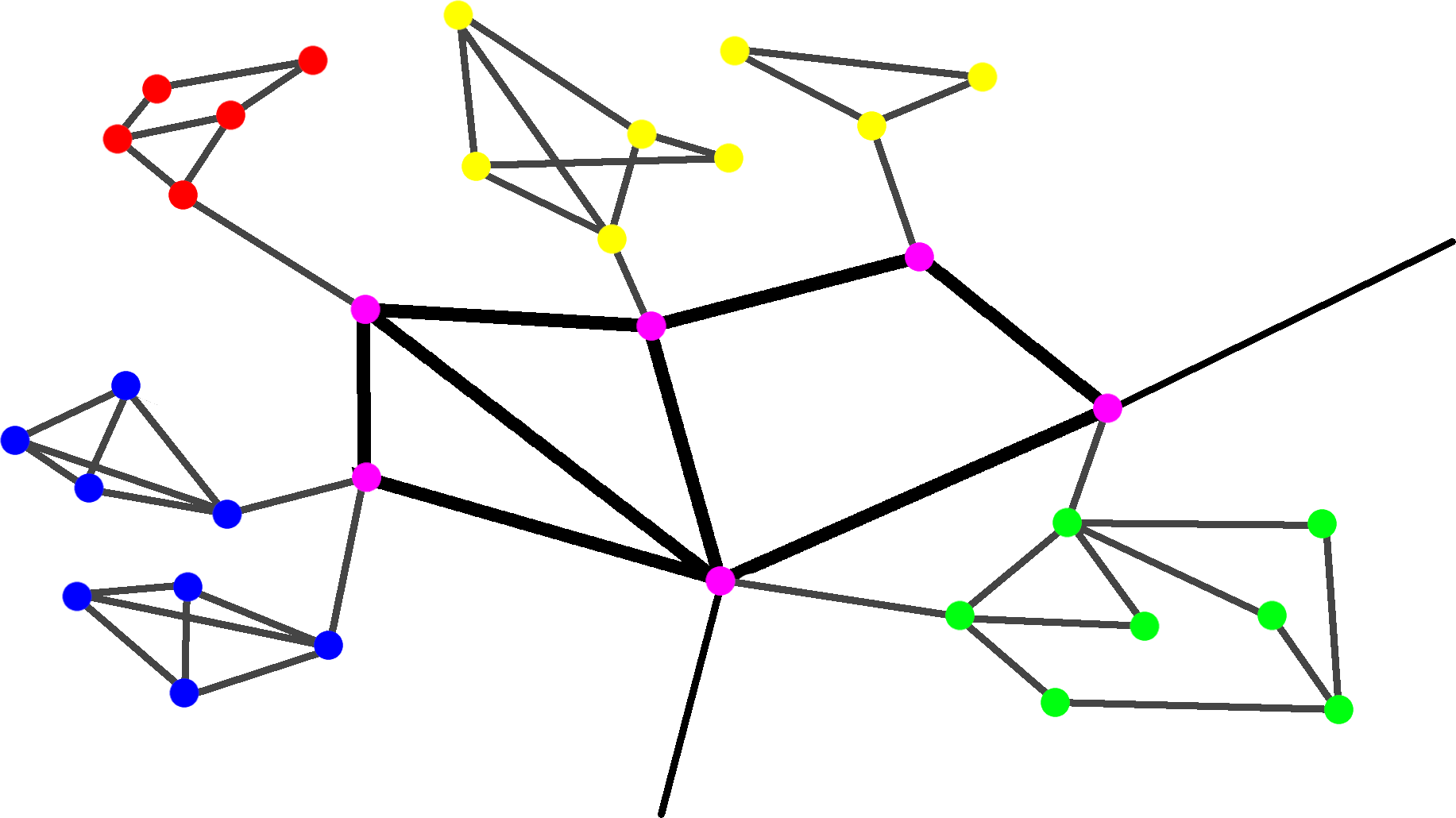 Figure 5 : Réseau de réseaux.